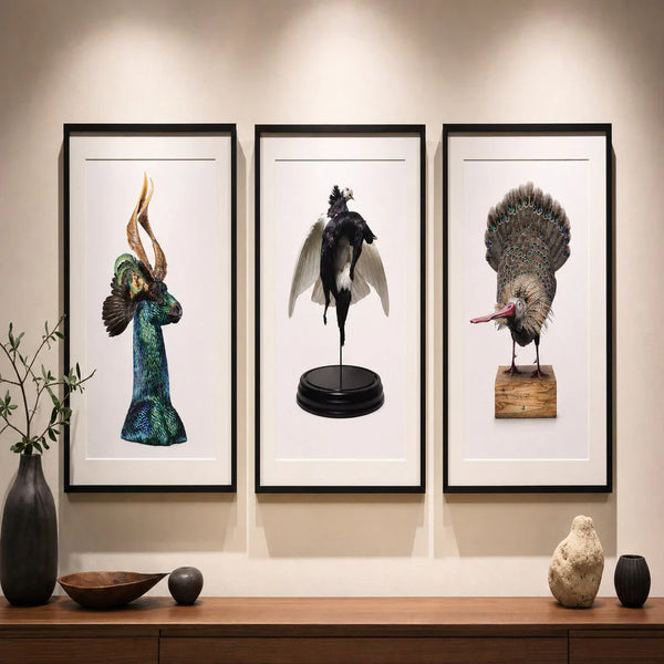 Wall Prints | Chimera & Co. Fine Art Prints