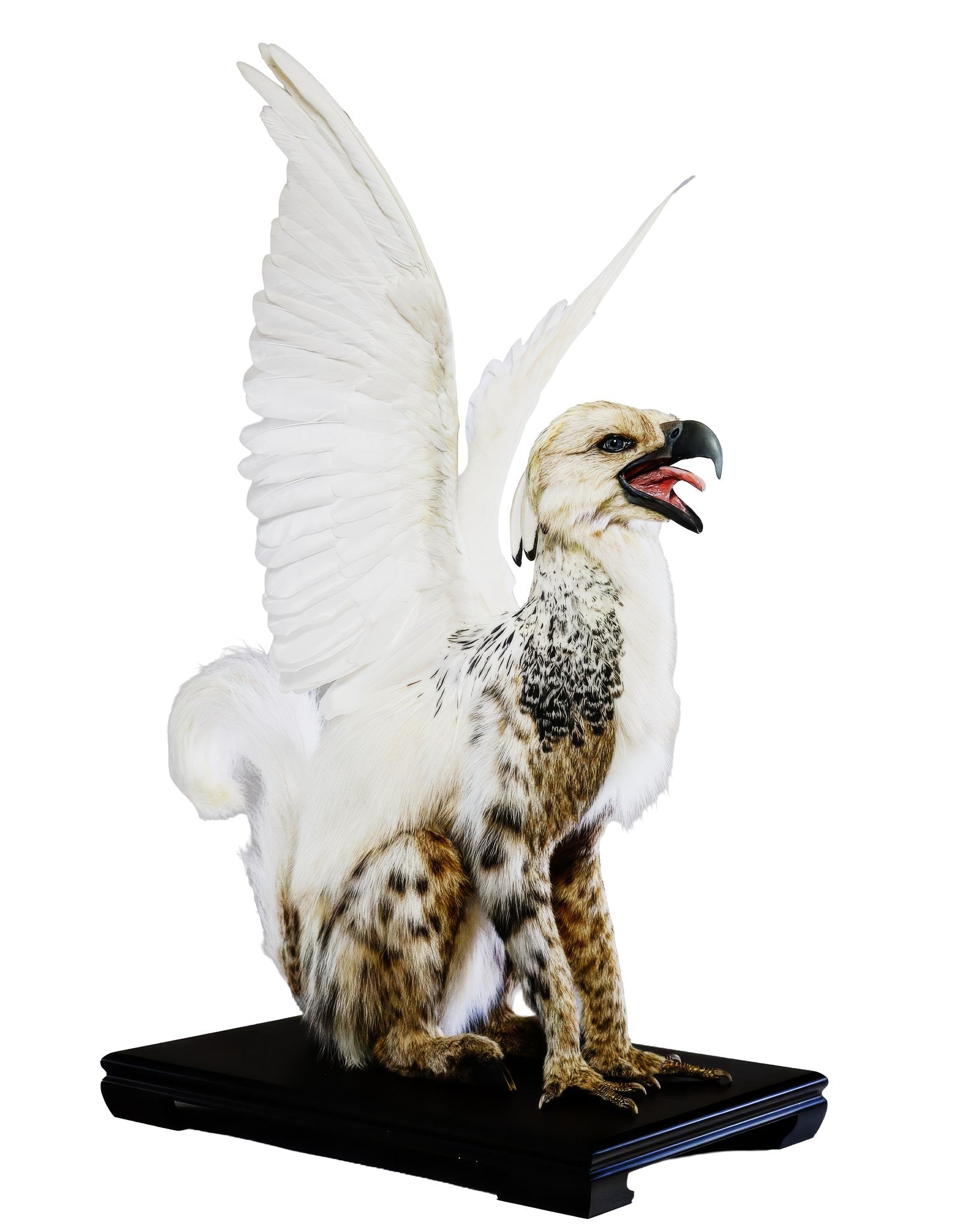 Gryphon — Fine Art Print & Canvas