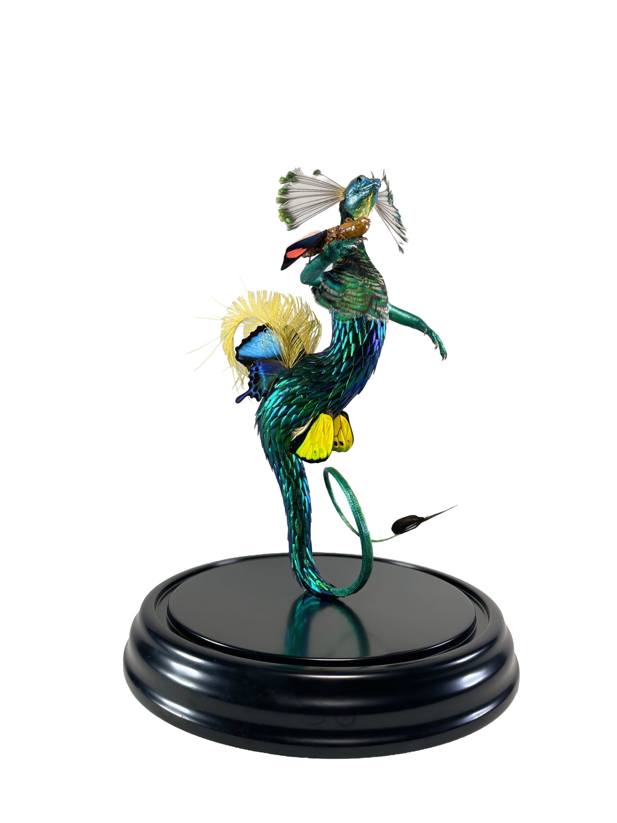 Shape of Water — Fine Art Print & Canvas
